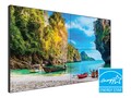 Planar 55 VM55LX-X2 Full HD LED-LCD Video Wall Display, 998-2598-00, 41364944, Monitors - Video Wall Planar 55 VM55LX-X2 Full HD LED-LCD Video Wall Display, 998-2598-00, 41364944, Monitors - Video Wall