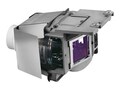 BenQ Replacement Lamp for SU917 , 5J.JCT05.001, 31643797, Projector Lamps