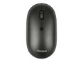 Targus Compact Multi-Device Antimicrobial Wireless Mouse, AMB581GL, 41228384, Mice & Cursor Control Devices