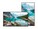 Sharp Imaging and Information Company of America PN-M862                        Image 6 from Front
