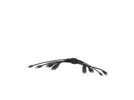 Belkin F1DN2CC-HHPP10T Main Image from Right-angle