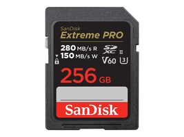 SanDisk Technologies SDSDXEP-256G-GN4IN             Main Image from Front