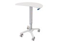 Capsa KIDNEY CART-FASHION GREY COLOR, 207166-FG                     , 41937388, Computer Carts - Medical