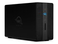 Other World 12TB Gemini Ultra X6 Storage, OWCTB3GMA6X12, 41750624, Direct Attached Storage