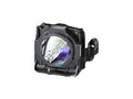 Panasonic Replacement Lamp for PT-DW750, DZ780, DX820, ET-LAD70, 22252778, Projector Lamps