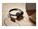 Cisco HS-W-322-C-USBC Image 2 from Left-angle