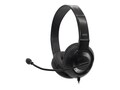 Avid AE-55 Headset - Black & Silver, 2AE5-5KL, 41321736, Headsets (w/ microphone)