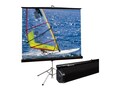 Draper DRAPER Diplomat R Carpeted Ca, 215039                        , 41956303, Projector Screens