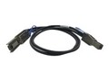 Qnap Mini SAS SFF-8644 TO SFF-8088 Cable, 1m, CAB-SAS10M-8644-8088, 30954956, Cables