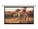 Da-Lite Screen Company 37575LS                        Image 2 from Front
