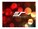 Elite Screens DIY193V1 Image 1 from Front