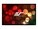 Elite Screens R100WH1-A1080P3 Image 1 from Front