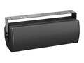 Bose AMU208 90X60 OUTDOOR LDSPK BLK, 811436-0110                   , 41954761, Wireless Presentation Systems & Hardware