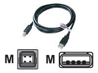QVS USB 2.0 (Type-A) Male to USB 2.0 (Type-A) Male Cable 3 ft