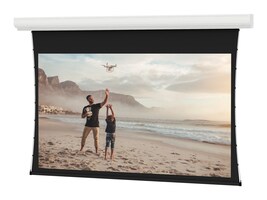 Da-Lite Screen Company 29673LS                        Main Image from Right-angle