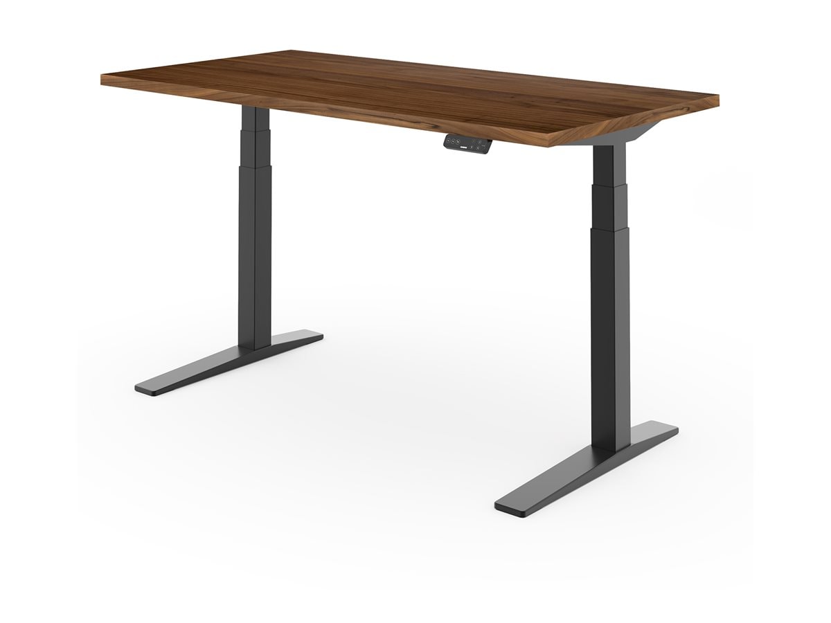 Loctek E7 Pro Standing Desk - Thumbnail 3
