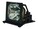 BTI SP-LAMP-008-BTI Image 1 from Right-angle