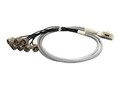 AccelTex 100 Series 8 Port Right Angle DART to N-Style Plug Cable Assembly, 2ft, ATS-00023, 41958752, Cables