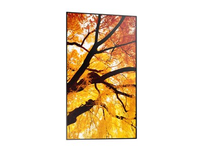 Sharp NEC  86 PN-M862 4K Ultra HD LED-LCD Display, PN-M862                       , 42023752, Monitors - Large Format