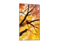 Sharp NEC 86 PN-M862 4K Ultra HD LED-LCD Display, PN-M862 , 42023752, Monitors - Large Format Sharp NEC 86 PN-M862 4K Ultra HD LED-LCD Display, PN-M862 , 42023752, Monitors - Large Format