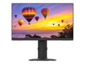 Planar 23.8 PZN2410 Full HD LED-LCD Monitor, Black, 998-1443-00, 37267631, Monitors