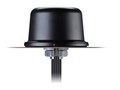 Taoglas COLOSSEUM 5IN1 0.3M RG-174 GNS, MA850.A.LBICG.001, 41741890, Wireless Antennas & Extenders