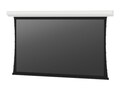 Da-Lite 119IN Contour Parallax 0.8 Screen, 29672LS, 34924367, Projector Accessories