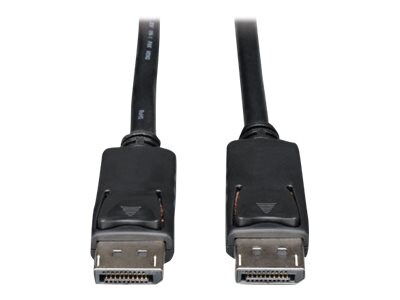 Tripp Lite DisplayPort Audio Video Cable, 25ft, P580-025, 15196843, Cables