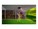 Optoma Technology ZU507TST                       Image 9 from Back