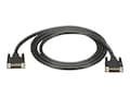 Black Box DVI-D (M) to DVI-D (M) Cable, 35ft, EVNDVI02-0035, 12510008, Cables Black Box DVI-D (M) to DVI-D (M) Cable, 35ft, EVNDVI02-0035, 12510008, Cables