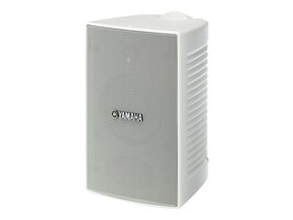 Yamaha VS4W                           Main Image from Right-angle