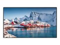 Panasonic 43-INCH 4K UHD 500CD M2 24 7 S, TH-43SQE2W                    , 41809454, Digital Signage Players & Solutions