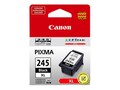 Canon PG-245 XL High Capacity Black Ink Cartridge, 8278B001, 16074661, Ink Cartridges & Ink Refill Kits - OEM