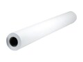HP HP EVERYDAY SATIN CANVAS 30 IN, E4J30A                        , 41945586, Printers - Output Trays/Sorters