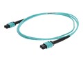 AddOn 12-Strand MPO to MPO F F 50 125 OM4 Multimode Riser Fiber Cable, Aqua, 1m, ADD-MPOMPO-1M5OM4S, 32697658, Cables