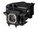 BTI NP43LP-BTI Image 1 from Right-angle