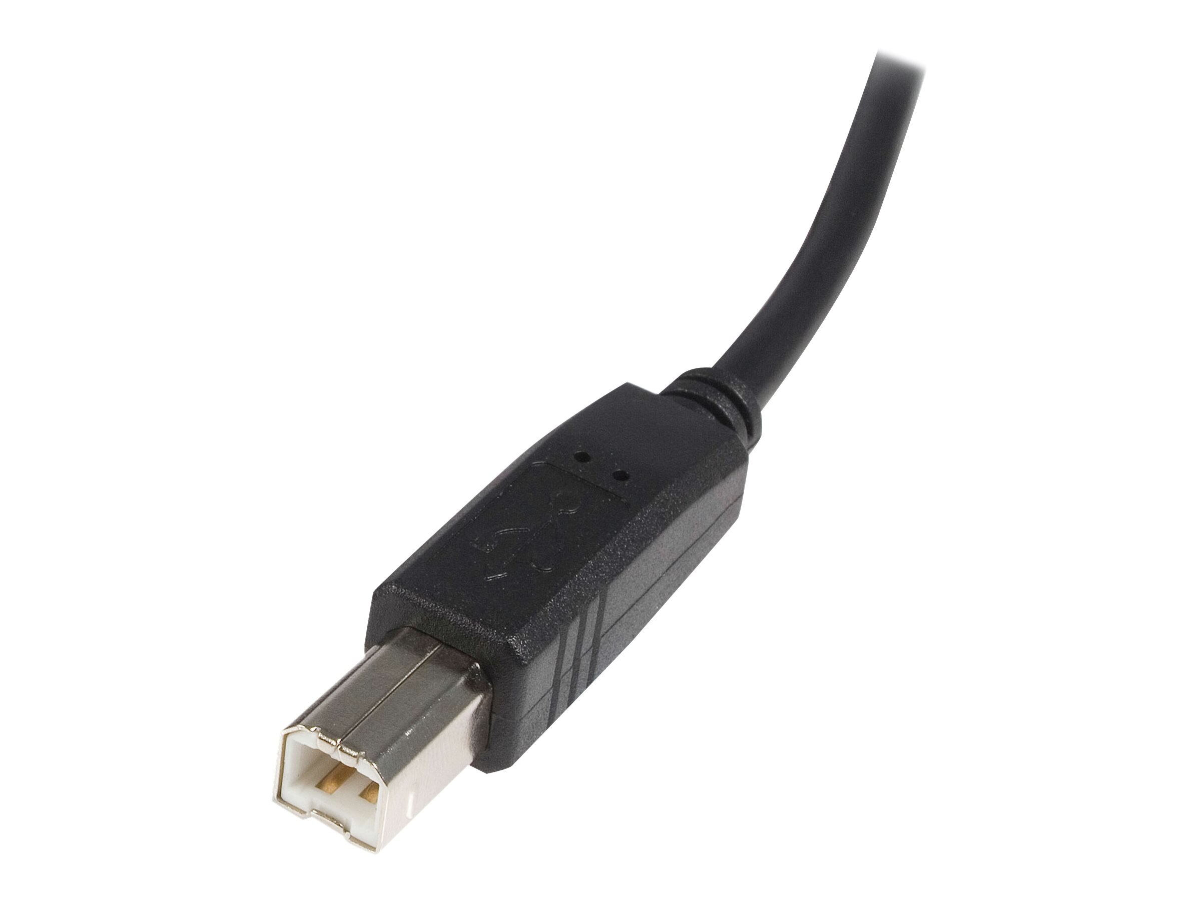 Startech Com Usb 2 0 Certified Cable Usb Type A To Usb Type B Usb2hab6