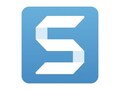 Techsmith Corp. Snagit-25 Business New License 1-9Users Commercial, SB09C-N-25                    , 41921817, Software - Video Editing