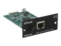 TASCAM Dante Audio Option for Ss-R250, IF-DA2                        , 41969308, Microphones & Accessories