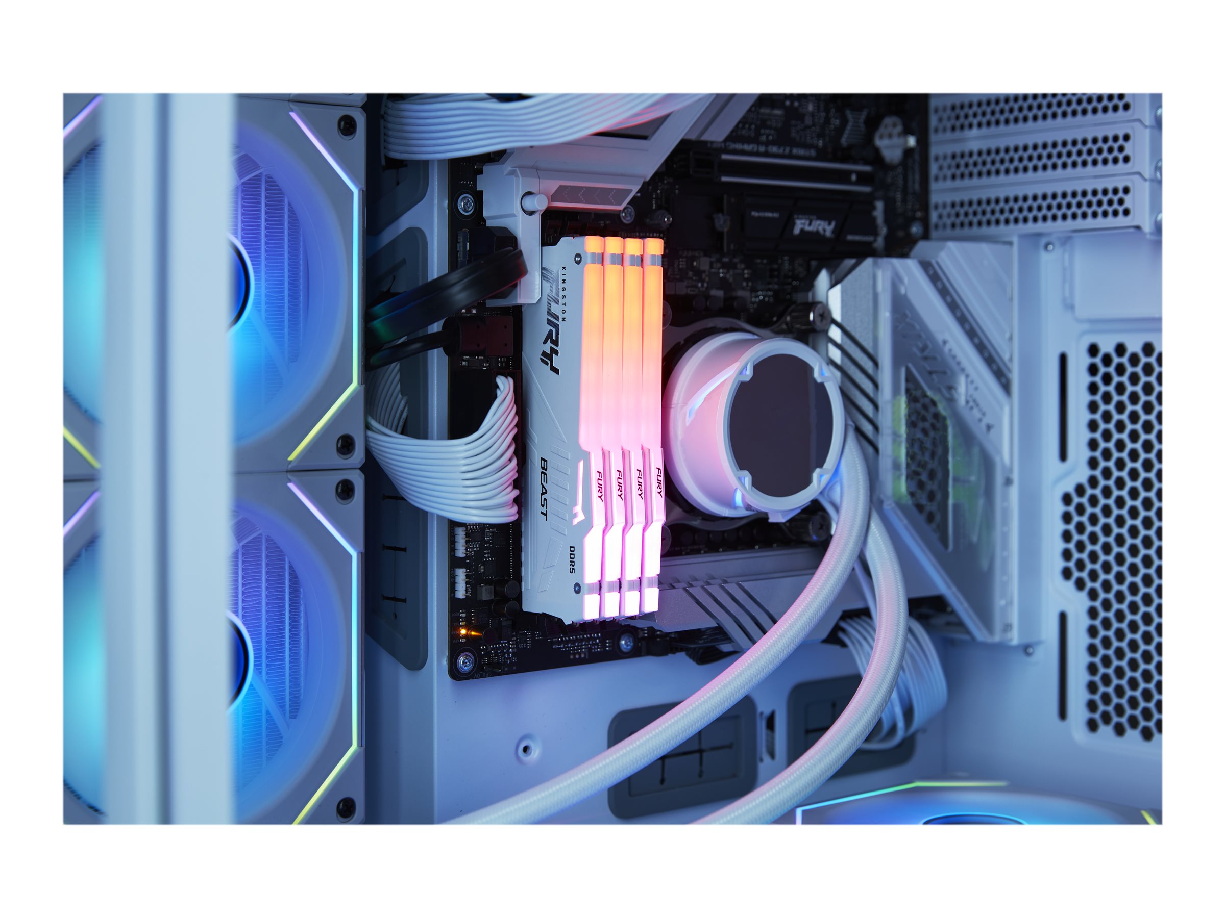 Kingston FURY™ Beast White DDR5 RGB EXPO Desktop Memory – Kingston  Technology