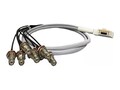 AccelTex 100 Series 8 Port Right Angle DART to RPTNC Bulkhead Jack Cable Assembly, 3ft, ATS-00027                     , 41961578, Cables