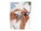 i-Blason AIRPODS2021-3-COSMO-OCEAN Image 3 from Right-angle