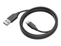 Jabra PanaCast 50 USB-A to USB-C Cable (6.6ft), 14202-10, 41498406, Cables