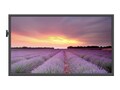 Newline 980NT Ultra-HD LED Display No , EPR7A098NT-000, 41280921, Monitors - Large Format - Touchscreen Newline 980NT Ultra-HD LED Display No , EPR7A098NT-000, 41280921, Monitors - Large Format - Touchscreen