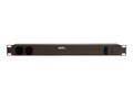Vertiv Liebert Basic Standard 1U PDU 1.9kW 120V 20A, L5-20P Input, (12) 5-20R Outlets, 12812, 36021735, Power Distribution Units