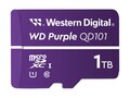 SanDisk 1TD SC Ultra Endurance MicroSDXC Card, Class 10, WDD100T1P0C-85AEL0            , 41920882, Memory - Flash