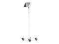 Compulocks Rolling Rise Stand Extended w  Apex Secured Enclosure for iPad Pro M4 11 (2024) - White, MCRSTDW11PAPX4W               , 41819465, Locks & Security Hardware