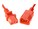 UNC Group PWCD-C13C14-15A-04F-RED Image 2 from Close-up