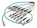 UNC 2M SpeedALite Fiber Optic PIGT, FJ5GLCX-02M-12FR, 41367448, Cables