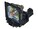 BTI POA-LMP17-OE Image 1 from Right-angle